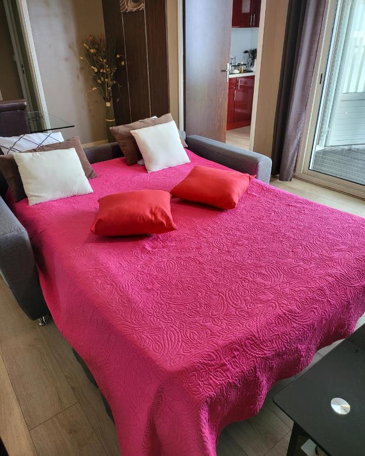 T2 Classe 4 Etoiles Avec Jardin, Piscine, Vue Mer A Saint-Gilles-Les-Bains Eksteriør bilde